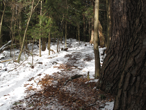 20140211hike (33)